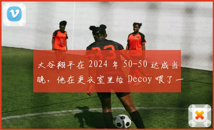 大谷翔平在 2024 年 50-50 达成当晚，他在更衣室里给 Decoy 喂了一块特制金牌饼干