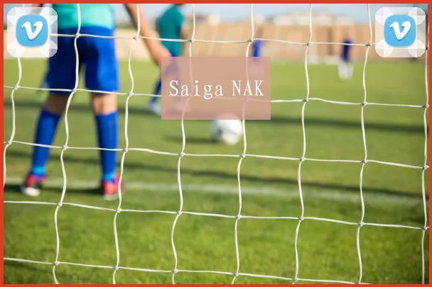 Saiga NAK