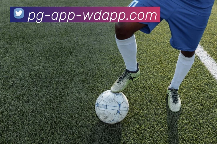 App Interface Preview