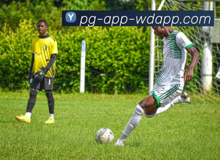 问鼎appAPP 封面图